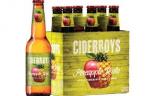 Ciderboys Pineapple Hula Apple Pineapple Hard Cider 0