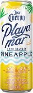 Jose Cuervo Playa Mar Hard Seltzer Pineapple 0 (414)