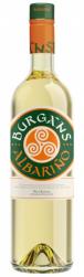 Burgans - Albarino Rias Baixas 2022 (750ml) (750ml)