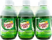 Canada Dry Ginger Ale (6 pack 10oz bottles) (6 pack 10oz bottles)